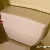 Repair a Toilet that Won’t Flush